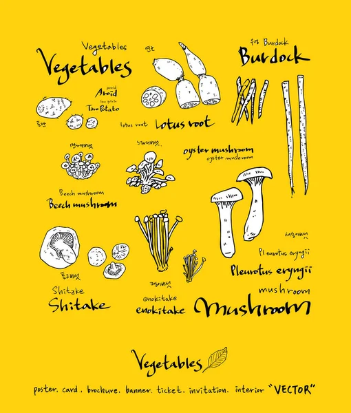 Sebze ve meyve resimler / el çekilmiş gıda maddeleri - vektör
