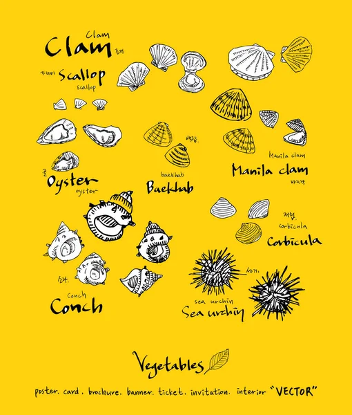 Sebze ve meyve resimler / el çekilmiş gıda maddeleri - vektör