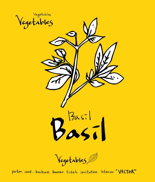 Sebze ve meyve resimler / el çekilmiş gıda maddeleri - vektör