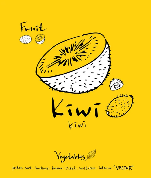 Sebze ve meyve resimler / el çekilmiş gıda maddeleri - vektör