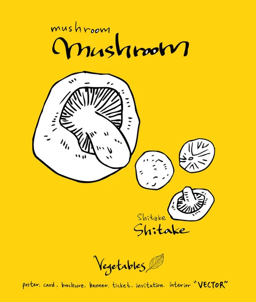 Sebze ve meyve resimler / el çekilmiş gıda maddeleri - vektör
