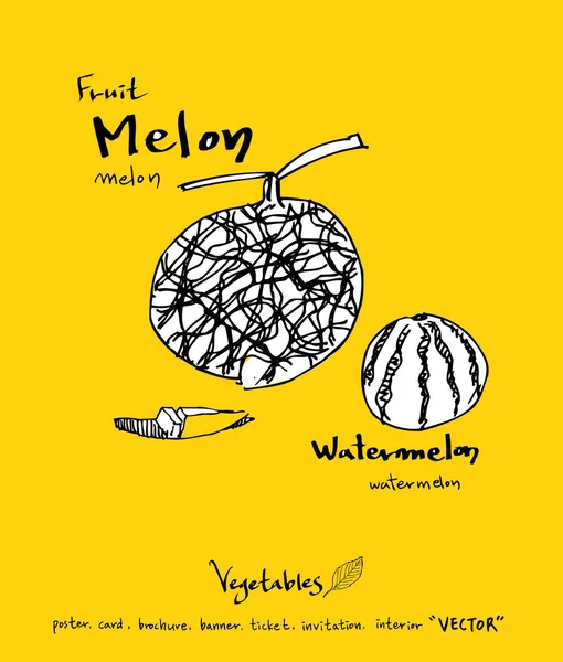 Sebze ve meyve resimler / el çekilmiş gıda maddeleri - vektör
