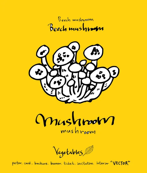 El çekilmiş gıda maddeleri - sebze ve meyve resimleri - vektör