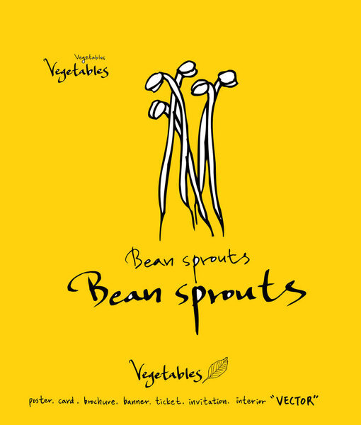 Ингредиенты для рисования вручную - овощные и фруктовые иллюстрации - вектор
