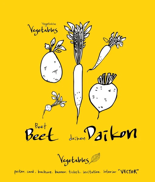 El çekilmiş gıda maddeleri - sebze ve meyve resimleri - vektör