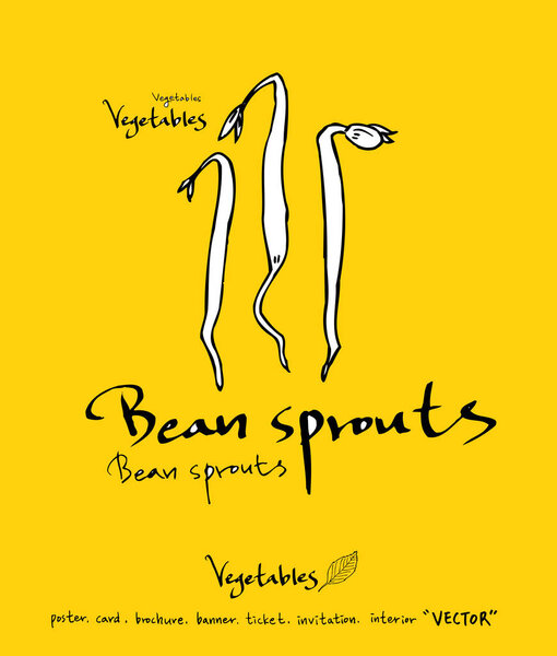 Ингредиенты для рисования вручную - овощные и фруктовые иллюстрации - вектор
