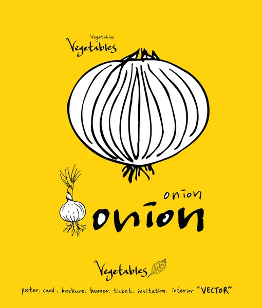 El çekilmiş gıda maddeleri - sebze ve meyve resimleri - vektör