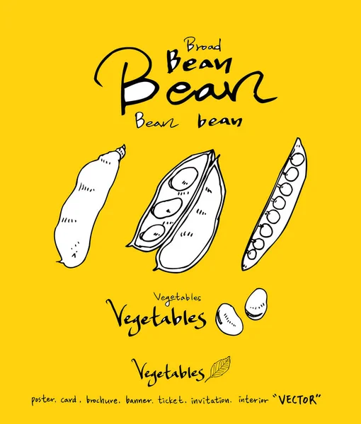 El çekilmiş gıda maddeleri - sebze ve meyve resimleri - vektör