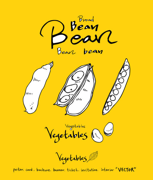 Ингредиенты для рисования вручную - овощные и фруктовые иллюстрации - вектор
