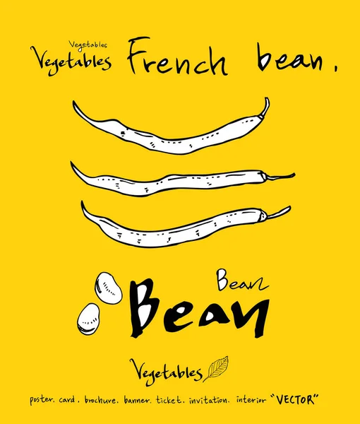 El çekilmiş gıda maddeleri - sebze ve meyve resimleri - vektör