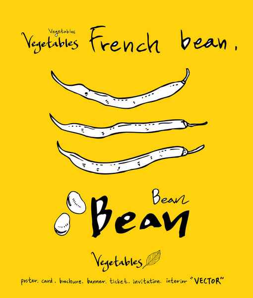 Ингредиенты для рисования вручную - овощные и фруктовые иллюстрации - вектор
