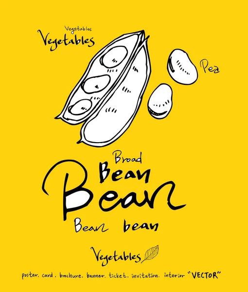 El çekilmiş gıda maddeleri - sebze ve meyve resimleri - vektör