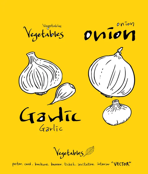 El çekilmiş gıda maddeleri - sebze ve meyve resimleri - vektör