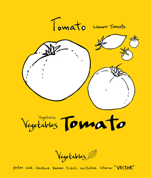 Ингредиенты для рисования вручную - овощные и фруктовые иллюстрации - вектор
