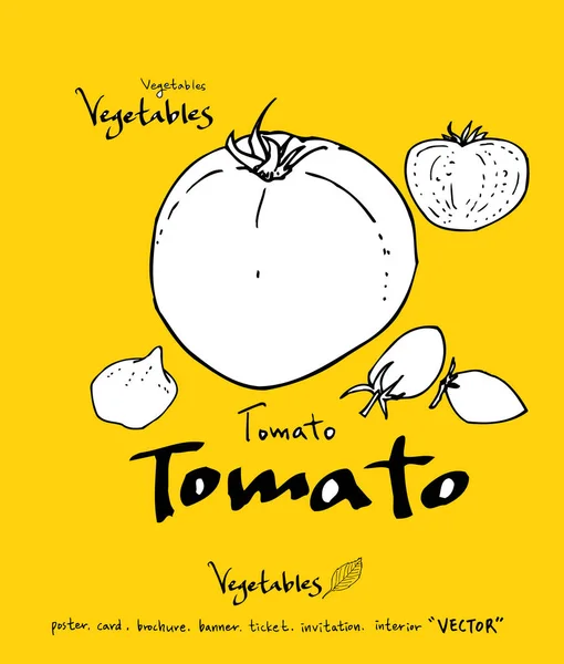 El çekilmiş gıda maddeleri - sebze ve meyve resimleri - vektör