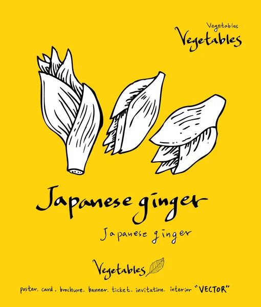 El çekilmiş gıda maddeleri - sebze ve meyve resimleri - vektör