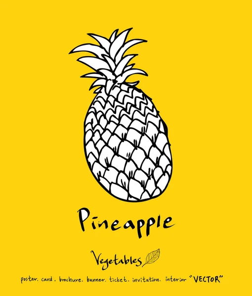 El çekilmiş gıda maddeleri - sebze ve meyve resimleri - vektör