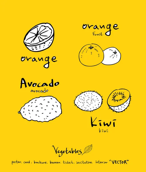 Sebze ve meyve resimler / el çekilmiş gıda maddeleri - vektör