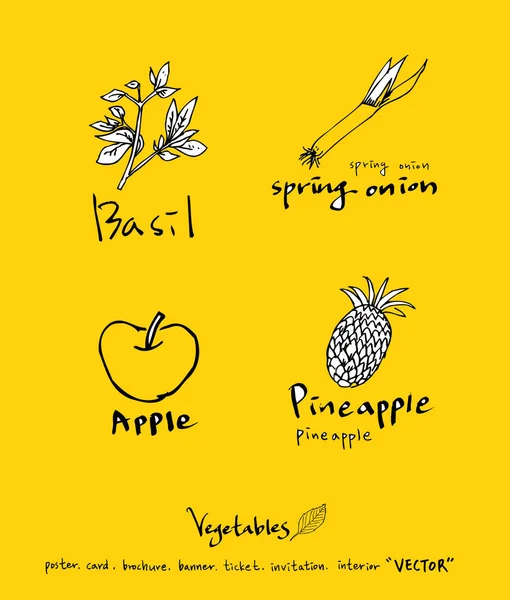 Sebze ve meyve resimler / el çekilmiş gıda maddeleri - vektör