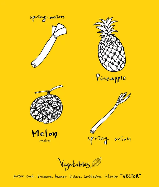 Sebze ve meyve resimler / el çekilmiş gıda maddeleri - vektör