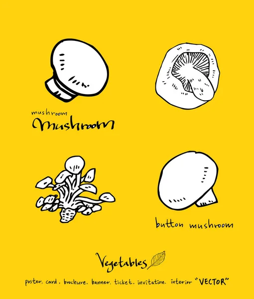 Sebze ve meyve resimler / el çekilmiş gıda maddeleri - vektör