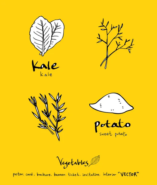 Sebze ve meyve resimler / el çekilmiş gıda maddeleri - vektör