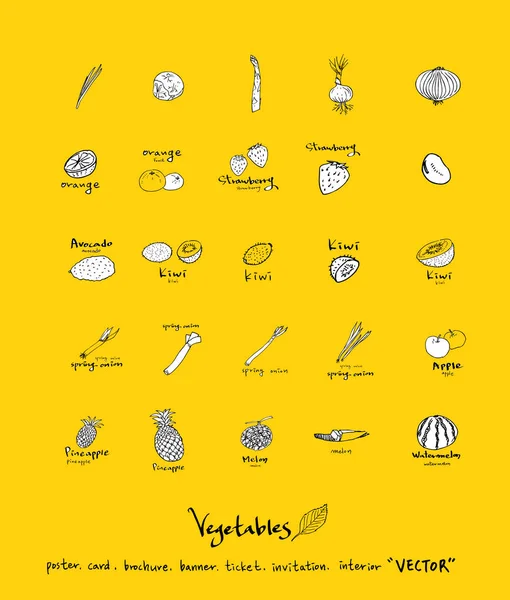 Sebze ve meyve resimler / el çekilmiş gıda maddeleri - vektör