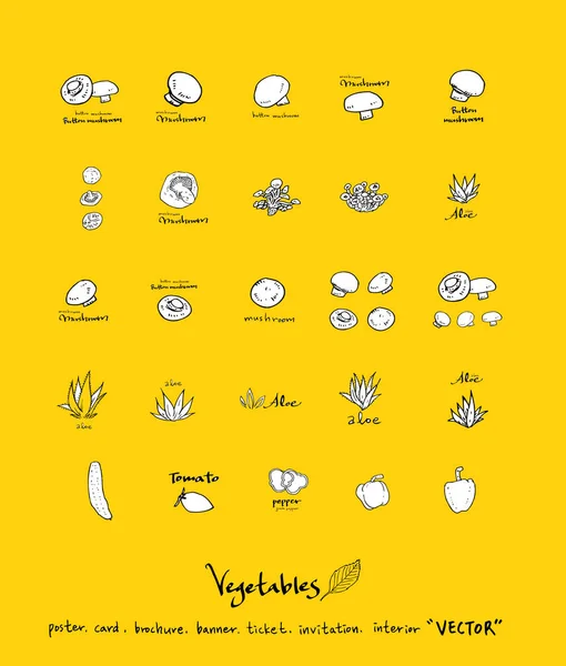 Sebze ve meyve resimler / el çekilmiş gıda maddeleri - vektör
