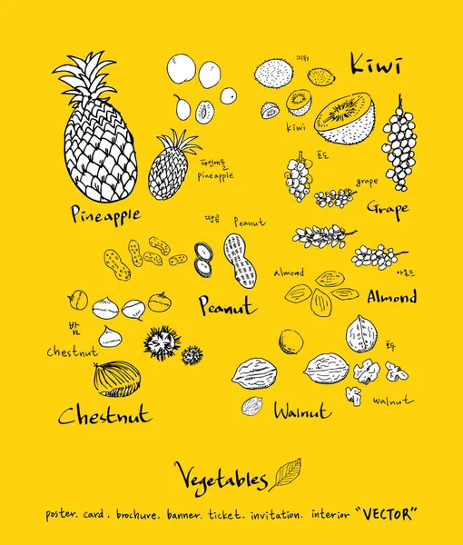 Sebze ve meyve resimler / el çekilmiş gıda maddeleri - vektör