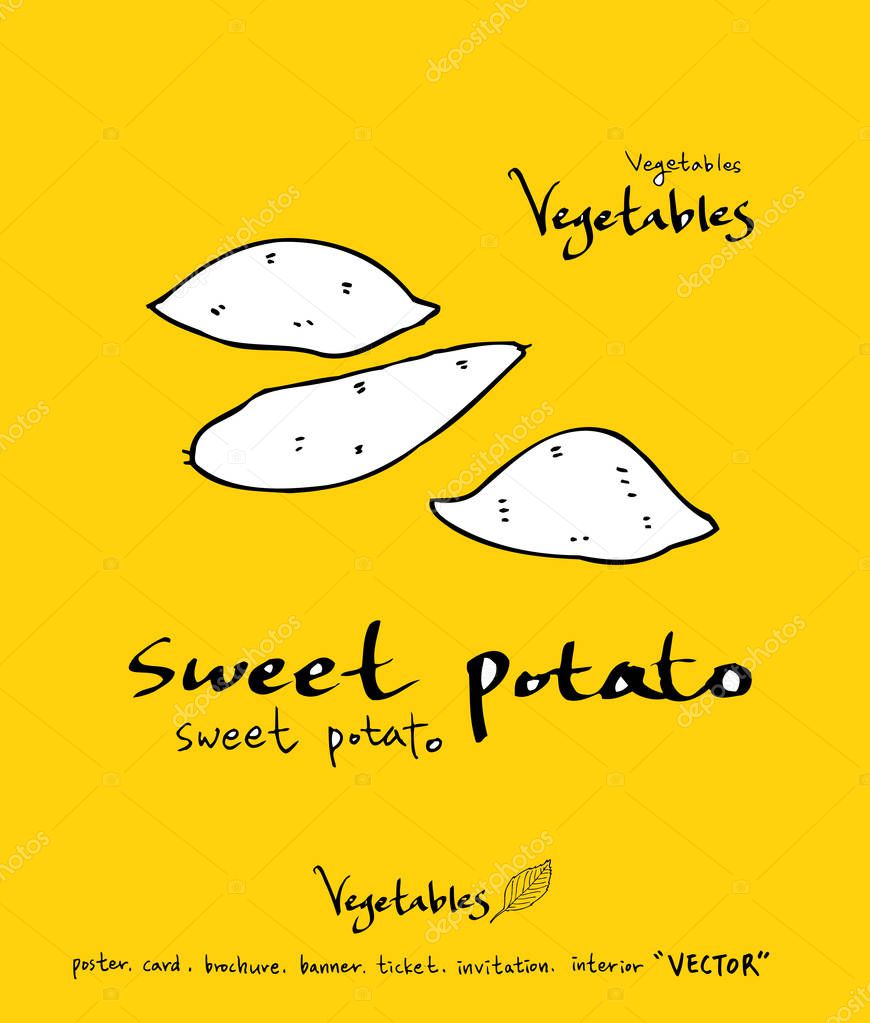 Hand drawn food ingredients - vegetable and fruit illustrations - vector