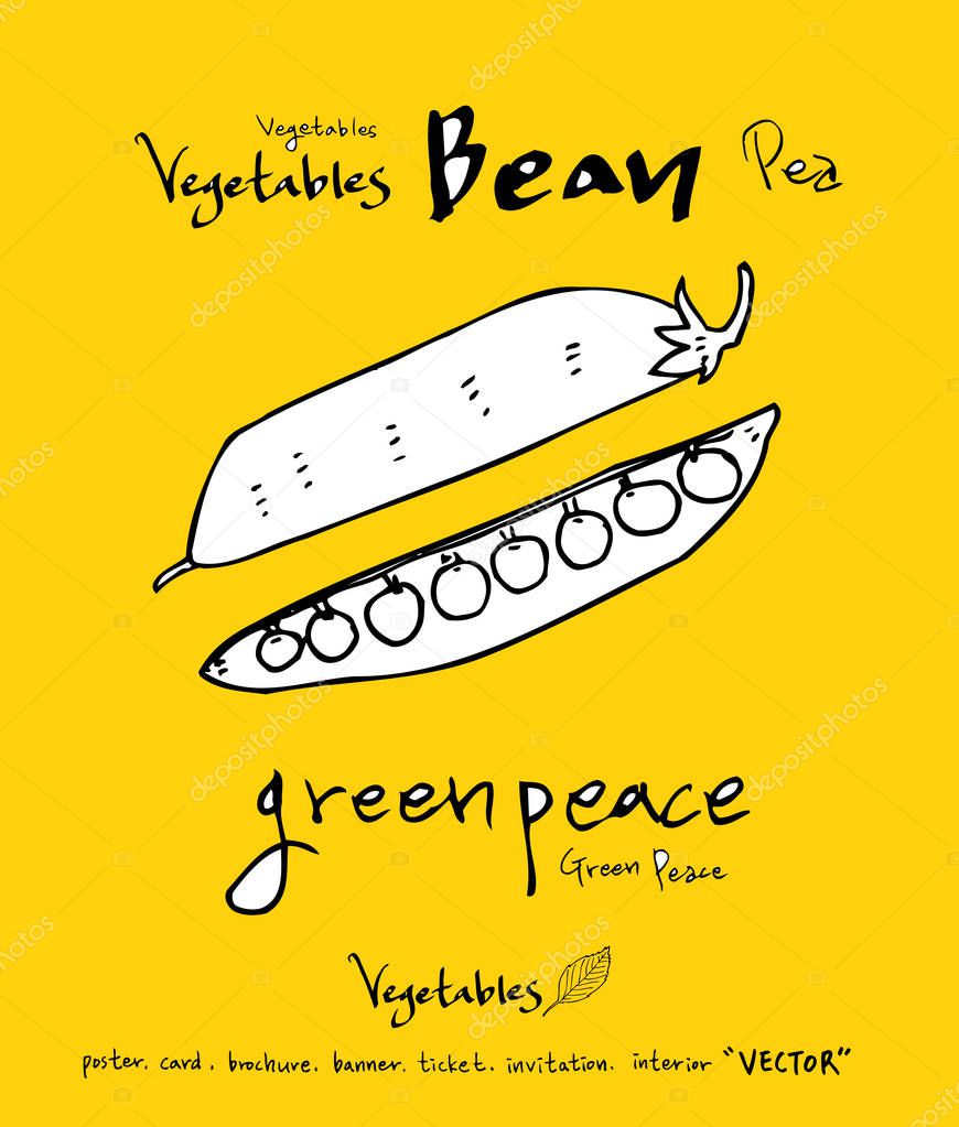Hand drawn food ingredients - vegetable and fruit illustrations - vector