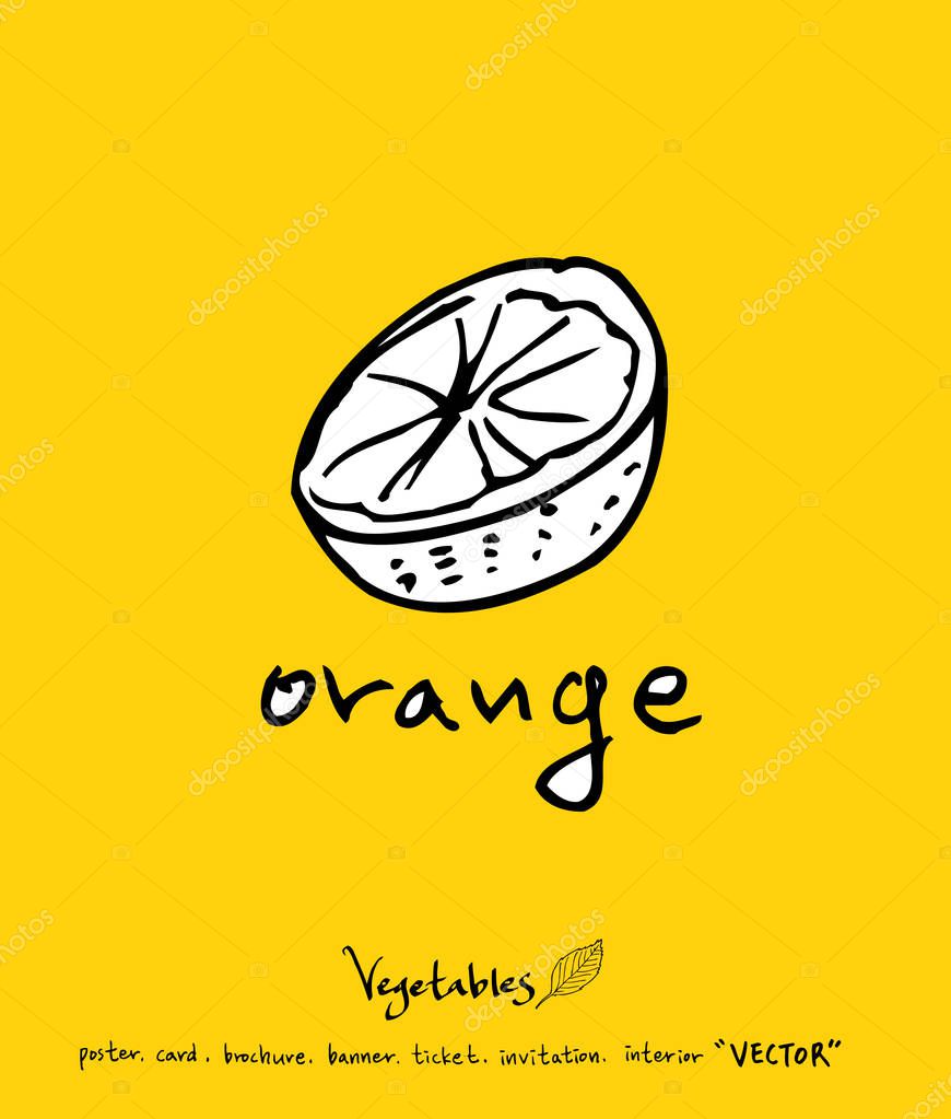 Hand drawn food ingredients - vegetable and fruit illustrations - vector