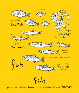 deniz gıda çizimler / el çekilmiş gıda maddeleri - vektör