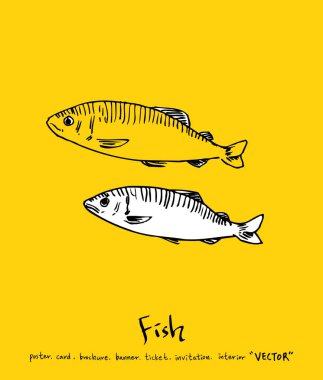 El çekilmiş gıda maddeleri - deniz gıda menü resimleri - vektör