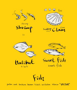 El çekilmiş gıda maddeleri - deniz gıda menü resimleri - vektör