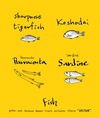 El çekilmiş gıda maddeleri - deniz gıda menü resimleri - vektör