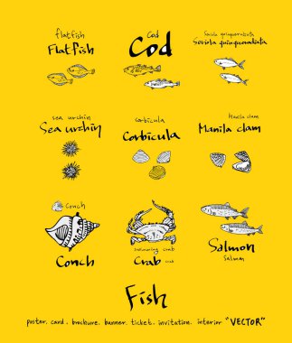 El çekilmiş gıda maddeleri - deniz gıda menü resimleri - vektör