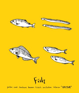 El çekilmiş gıda maddeleri - deniz gıda menü resimleri - vektör