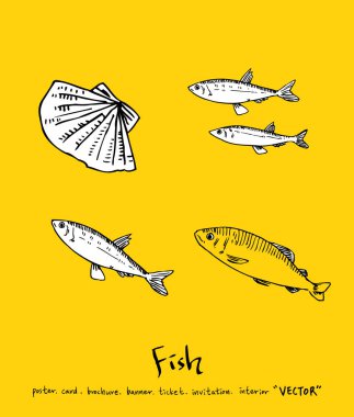 El çekilmiş gıda maddeleri - deniz gıda menü resimleri - vektör