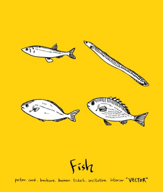 El çekilmiş gıda maddeleri - deniz gıda menü resimleri - vektör