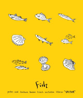 El çekilmiş gıda maddeleri - deniz gıda menü resimleri - vektör