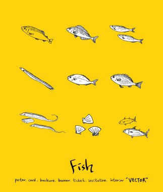 El çekilmiş gıda maddeleri - deniz gıda menü resimleri - vektör