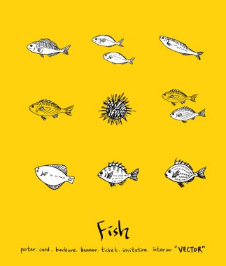 El çekilmiş gıda maddeleri - deniz gıda menü resimleri - vektör