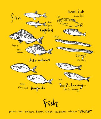 El çekilmiş gıda maddeleri - deniz gıda menü resimleri - vektör