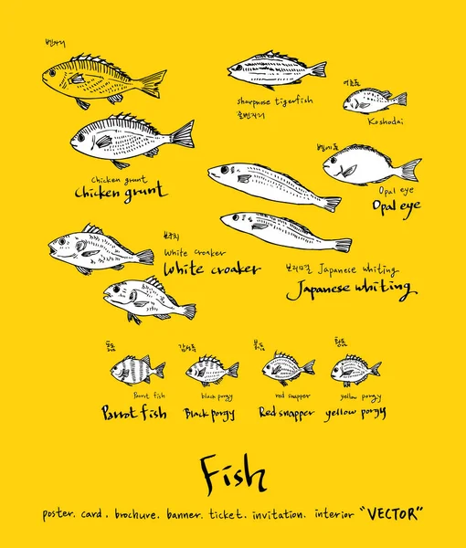 Sea Food Illustrations Hand Drawn Food Ingredients Vector — Stock Vector