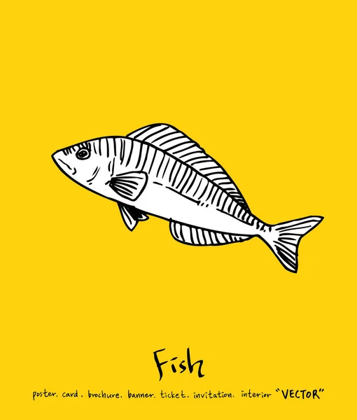 Χέρι Συρμένο Τρόφιμα Συστατικά Θάλασσα Τροφίμων Μενού Απεικονίσεις Διάνυσμα — Διανυσματικό Αρχείο
