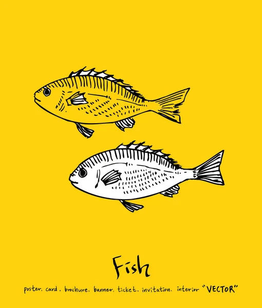 El çekilmiş gıda maddeleri - deniz gıda menü resimleri - vektör