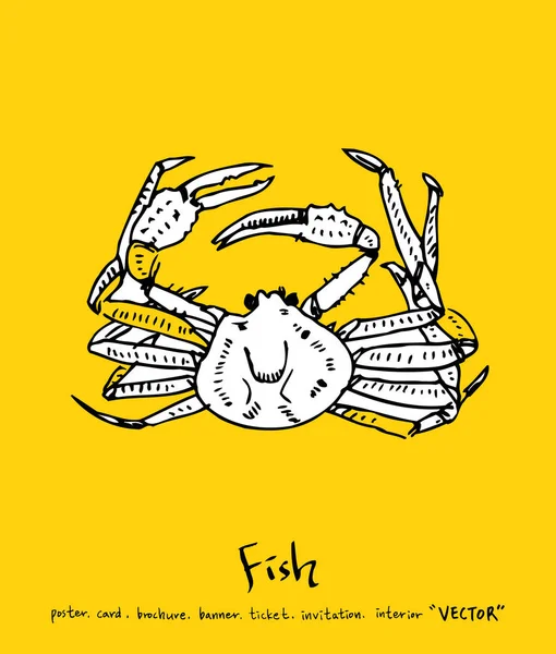 El çekilmiş gıda maddeleri - deniz gıda menü resimleri - vektör