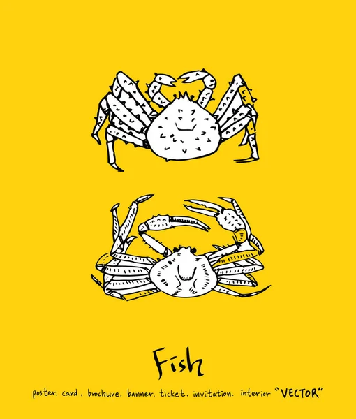 El çekilmiş gıda maddeleri - deniz gıda menü resimleri - vektör