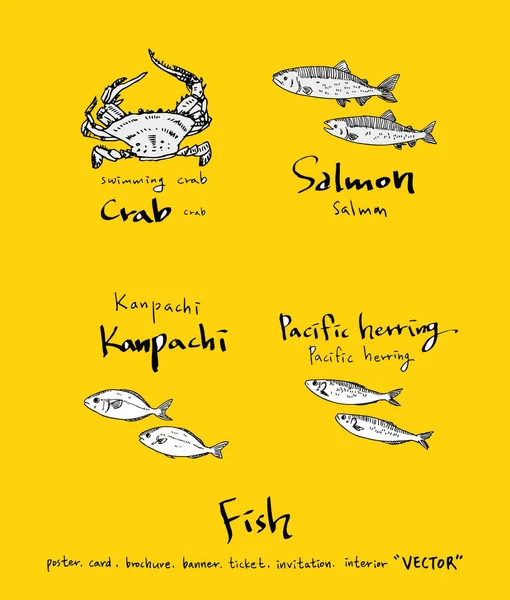 El çekilmiş gıda maddeleri - deniz gıda menü resimleri - vektör